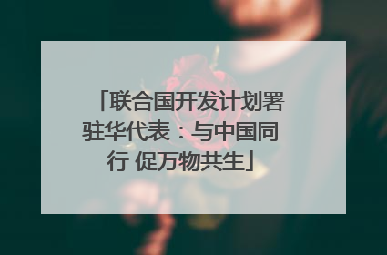 联合国开发计划署驻华代表：与中国同行 促万物共生