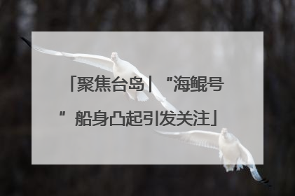 聚焦台岛│“海鲲号”船身凸起引发关注