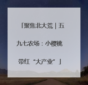 聚焦北大荒｜五九七农场：小樱桃带红“大产业”