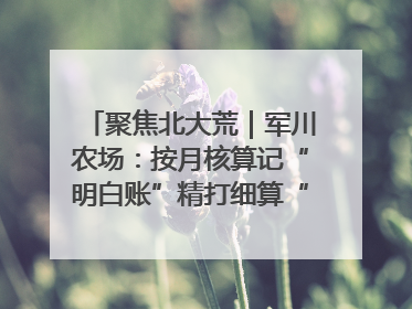 聚焦北大荒｜军川农场：按月核算记“明白账”精打细算“过紧日子”
