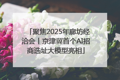 聚焦2025年廊坊经洽会丨京津冀首个AI招商选址大模型亮相