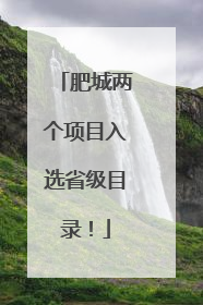 肥城两个项目入选省级目录！