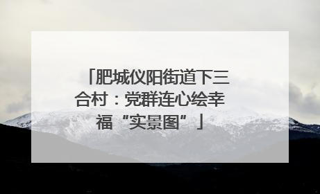 肥城仪阳街道下三合村：党群连心绘幸福“实景图”