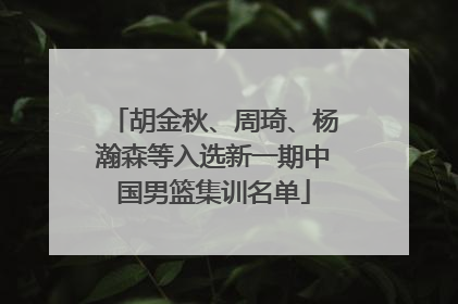 胡金秋、周琦、杨瀚森等入选新一期中国男篮集训名单