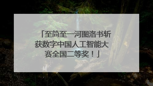 至简至一河图洛书斩获数字中国人工智能大赛全国二等奖！