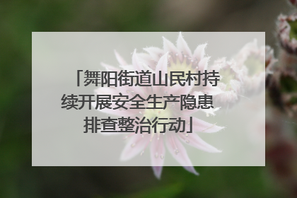 舞阳街道山民村持续开展安全生产隐患排查整治行动