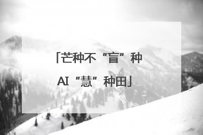 芒种不“盲”种 AI“慧”种田