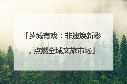 芗城有戏：非遗焕新彩，点燃全域文旅市场