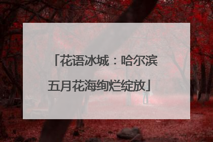 花语冰城：哈尔滨五月花海绚烂绽放
