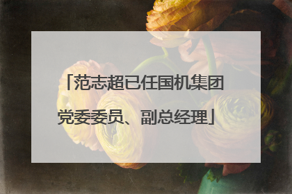 范志超已任国机集团党委委员、副总经理