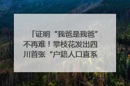 证明“我爸是我爸”不再难！攀枝花发出四川首张“户籍人口直系亲属关系谱”