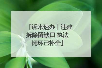 诉来速办丨违建拆除留缺口 执法闭环已补全