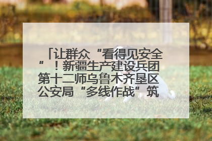 让群众“看得见安全”！新疆生产建设兵团第十二师乌鲁木齐垦区公安局“多线作战”筑牢辖区安全防线
