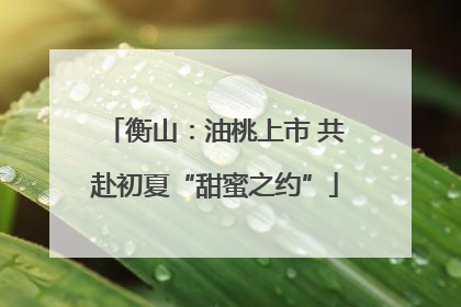 衡山：油桃上市 共赴初夏“甜蜜之约”
