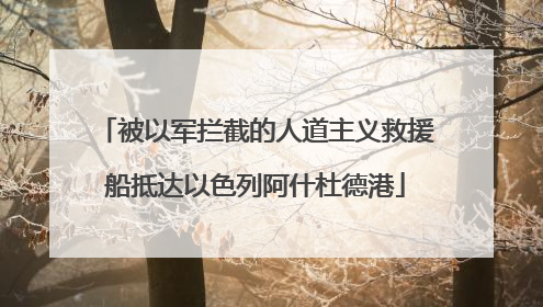 被以军拦截的人道主义救援船抵达以色列阿什杜德港
