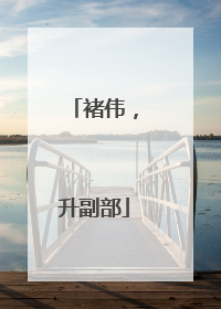 褚伟，升副部