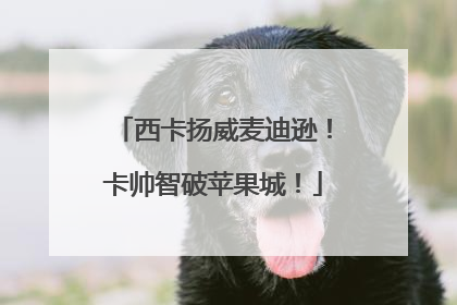 西卡扬威麦迪逊！卡帅智破苹果城！
