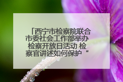 西宁市检察院联合市委社会工作部举办检察开放日活动 检察官讲述如何保护“少年的你”