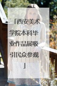西安美术学院本科毕业作品展吸引民众参观