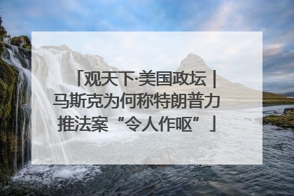 观天下·美国政坛｜马斯克为何称特朗普力推法案“令人作呕”