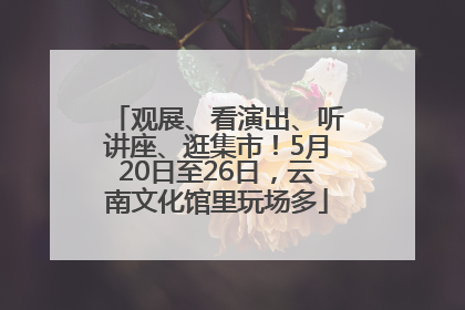 观展、看演出、听讲座、逛集市！5月20日至26日，云南文化馆里玩场多