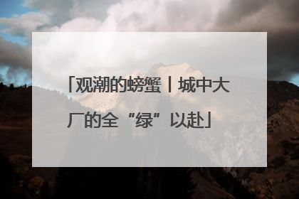 观潮的螃蟹丨城中大厂的全“绿”以赴