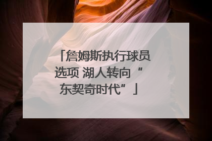 詹姆斯执行球员选项 湖人转向“东契奇时代”