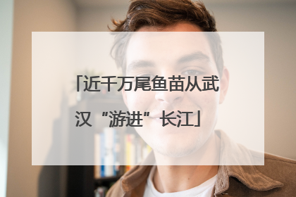 近千万尾鱼苗从武汉“游进”长江