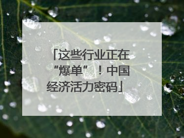 这些行业正在“爆单”！中国经济活力密码