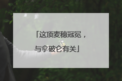 这顶麦穗冠冕，与拿破仑有关