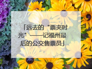 远去的“票夹时光”——记福州最后的公交售票员