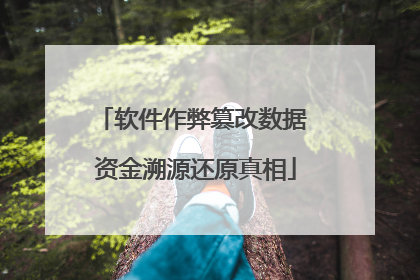 软件作弊篡改数据 资金溯源还原真相