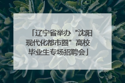 辽宁省举办“沈阳现代化都市圈”高校毕业生专场招聘会