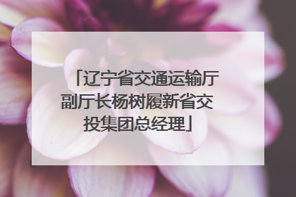 辽宁省交通运输厅副厅长杨树履新省交投集团总经理