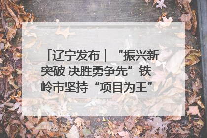 辽宁发布｜“振兴新突破 决胜勇争先”铁岭市坚持“项目为王”推进经济高质量发展