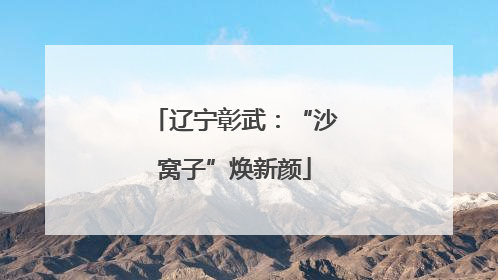 辽宁彰武：“沙窝子”焕新颜