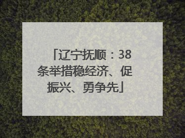 辽宁抚顺：38条举措稳经济、促振兴、勇争先
