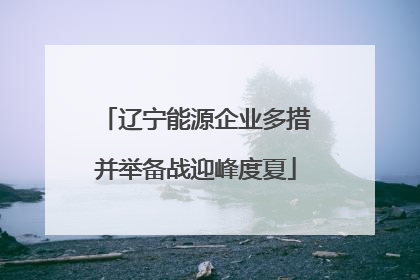 辽宁能源企业多措并举备战迎峰度夏