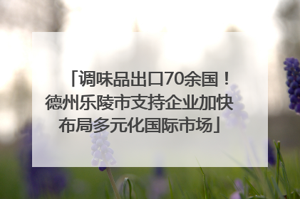 调味品出口70余国！德州乐陵市支持企业加快布局多元化国际市场