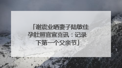 谢震业晒妻子陆敏佳孕肚照官宣喜讯：记录下第一个父亲节