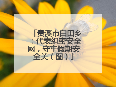 贵溪市白田乡：代表织密安全网，守牢假期安全关（图）