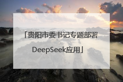 贵阳市委书记专题部署DeepSeek应用