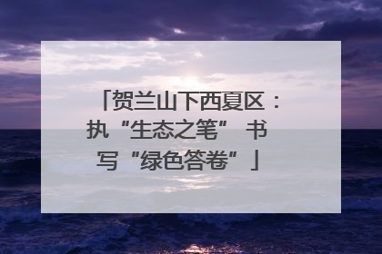 贺兰山下西夏区：执“生态之笔” 书写“绿色答卷”