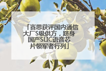 赛思获评国内通信大厂S级供方，跻身国产SLIC语音芯片领军者行列
