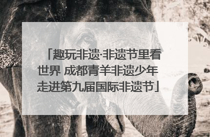 趣玩非遗·非遗节里看世界 成都青羊非遗少年走进第九届国际非遗节