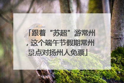 跟着“苏超”游常州，这个端午节假期常州景点对扬州人免票