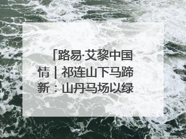 路易·艾黎中国情｜祁连山下马蹄新：山丹马场以绿色发展诠释“两山”理论实践