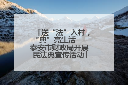 送“法”入村，“典”亮生活——泰安市财政局开展民法典宣传活动