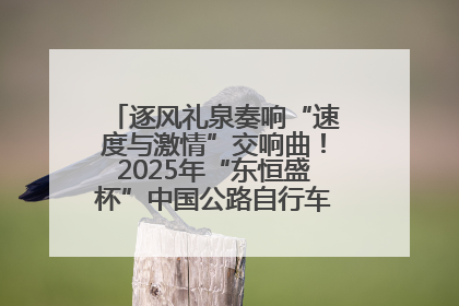 逐风礼泉奏响“速度与激情”交响曲！2025年“东恒盛杯”中国公路自行车联赛第五站（陕西·礼泉站）正式开赛