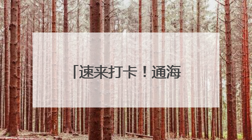 速来打卡！通海县兴蒙乡有了自己的“簪花少女”